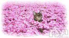 新潟デリヘル人妻不倫処　桃屋　新潟店(ヒトヅマフリンドコロモモヤ) みこと殿方の女神(48)の4月5日写メブログ「出勤」