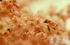 新潟デリヘル人妻不倫処　桃屋　新潟店(ヒトヅマフリンドコロモモヤ) みこと殿方の女神(48)の4月8日写メブログ「可愛い」