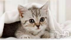 新潟デリヘル人妻不倫処　桃屋　新潟店(ヒトヅマフリンドコロモモヤ) みこと殿方の女神(48)の4月16日写メブログ「こんにちは」