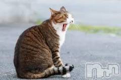 新潟デリヘル人妻不倫処　桃屋　新潟店(ヒトヅマフリンドコロモモヤ) みこと殿方の女神(48)の5月10日写メブログ「こんにちは」