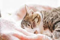新潟人妻デリヘル人妻不倫処　桃屋　新潟店(ヒトヅマフリンドコロモモヤ) みこと殿方の女神(48)の6月10日写メブログ「明日は」