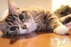 新潟デリヘル人妻不倫処　桃屋　新潟店(ヒトヅマフリンドコロモモヤ) みこと殿方の女神(48)の6月25日写メブログ「お礼」