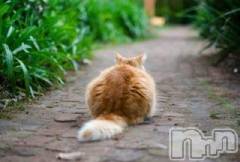 新潟デリヘル人妻不倫処　桃屋　新潟店(ヒトヅマフリンドコロモモヤ) みこと殿方の女神(48)の7月17日写メブログ「時をもどそー」