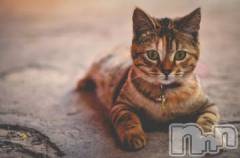 新潟デリヘル人妻不倫処　桃屋　新潟店(ヒトヅマフリンドコロモモヤ) みこと殿方の女神(48)の7月19日写メブログ「こんにちは」