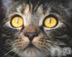 新潟デリヘル人妻不倫処　桃屋　新潟店(ヒトヅマフリンドコロモモヤ) みこと殿方の女神(48)の7月29日写メブログ「オニオン」