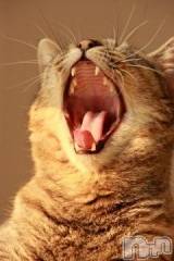 新潟デリヘル人妻不倫処　桃屋　新潟店(ヒトヅマフリンドコロモモヤ) みこと殿方の女神(48)の8月23日写メブログ「先程」