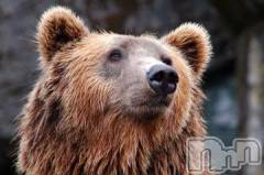 新潟デリヘル人妻不倫処　桃屋　新潟店(ヒトヅマフリンドコロモモヤ) みこと殿方の女神(48)の8月26日写メブログ「出没」