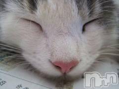 新潟デリヘル人妻不倫処　桃屋　新潟店(ヒトヅマフリンドコロモモヤ) みこと殿方の女神(48)の10月6日写メブログ「Thankyou」