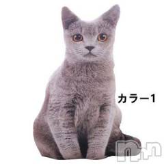 新潟デリヘル人妻不倫処　桃屋　新潟店(ヒトヅマフリンドコロモモヤ) みこと殿方の女神(48)の10月18日写メブログ「猫型クッション」