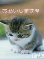 新潟デリヘル人妻不倫処　桃屋　新潟店(ヒトヅマフリンドコロモモヤ) みこと殿方の女神(48)の10月22日写メブログ「こんにちは」