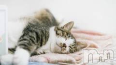 新潟デリヘル人妻不倫処　桃屋　新潟店(ヒトヅマフリンドコロモモヤ) みこと殿方の女神(48)の10月25日写メブログ「悪いコト」