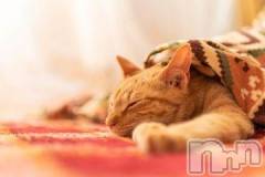 新潟デリヘル人妻不倫処　桃屋　新潟店(ヒトヅマフリンドコロモモヤ) みこと殿方の女神(48)の11月8日写メブログ「暖かいー」