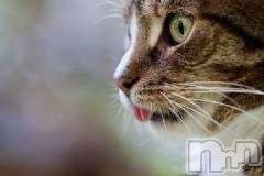 新潟デリヘル人妻不倫処　桃屋　新潟店(ヒトヅマフリンドコロモモヤ) みこと殿方の女神(48)の11月10日写メブログ「さむい」