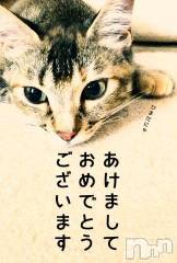 新潟人妻デリヘル人妻不倫処　桃屋　新潟店(ヒトヅマフリンドコロモモヤ) みこと殿方の女神(48)の1月4日写メブログ「今年も」