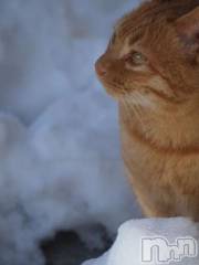 新潟デリヘル人妻不倫処　桃屋　新潟店(ヒトヅマフリンドコロモモヤ) みこと殿方の女神(48)の1月18日写メブログ「雪に」