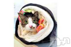 新潟デリヘル人妻不倫処　桃屋　新潟店(ヒトヅマフリンドコロモモヤ) みこと殿方の女神(48)の2月2日写メブログ「鬼」