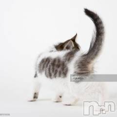 新潟デリヘル人妻不倫処　桃屋　新潟店(ヒトヅマフリンドコロモモヤ) みこと殿方の女神(48)の2月14日写メブログ「宮城」