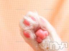 新潟デリヘル人妻不倫処　桃屋　新潟店(ヒトヅマフリンドコロモモヤ) みこと殿方の女神(48)の2月22日写メブログ「2:.22」