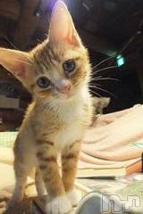 新潟デリヘル人妻不倫処　桃屋　新潟店(ヒトヅマフリンドコロモモヤ) みこと殿方の女神(48)の5月4日写メブログ「沢山」