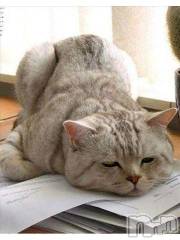 新潟デリヘル人妻不倫処　桃屋　新潟店(ヒトヅマフリンドコロモモヤ) みこと殿方の女神(48)の6月17日写メブログ「キレる」