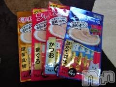 新潟デリヘル人妻不倫処　桃屋　新潟店(ヒトヅマフリンドコロモモヤ) みこと殿方の女神(48)の7月22日写メブログ「ま、まさか」