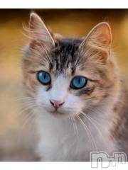 新潟デリヘル人妻不倫処　桃屋　新潟店(ヒトヅマフリンドコロモモヤ) みこと殿方の女神(48)の7月23日写メブログ「出来ること」