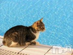 新潟デリヘル人妻不倫処　桃屋　新潟店(ヒトヅマフリンドコロモモヤ) みこと殿方の女神(48)の8月29日写メブログ「残暑」