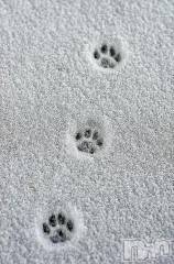 新潟デリヘル人妻不倫処　桃屋　新潟店(ヒトヅマフリンドコロモモヤ) みこと殿方の女神(48)の12月19日写メブログ「こんな日」