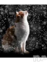 新潟デリヘル人妻不倫処　桃屋　新潟店(ヒトヅマフリンドコロモモヤ) みこと殿方の女神(48)の1月19日写メブログ「出勤しました」