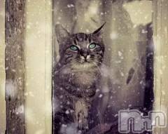 新潟デリヘル人妻不倫処　桃屋　新潟店(ヒトヅマフリンドコロモモヤ) みこと殿方の女神(48)の2月15日写メブログ「こんにちは」