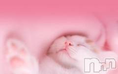 新潟デリヘル人妻不倫処　桃屋　新潟店(ヒトヅマフリンドコロモモヤ) みこと殿方の女神(48)の3月11日写メブログ「こんにちは」