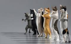 新潟デリヘル人妻不倫処　桃屋　新潟店(ヒトヅマフリンドコロモモヤ) みこと殿方の女神(48)の3月18日写メブログ「雨」