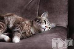 新潟デリヘル人妻不倫処　桃屋　新潟店(ヒトヅマフリンドコロモモヤ) みこと殿方の女神(48)の9月23日写メブログ「変更」