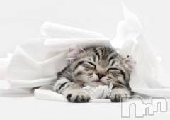 新潟デリヘル人妻不倫処　桃屋　新潟店(ヒトヅマフリンドコロモモヤ) みこと殿方の女神(48)の10月18日写メブログ「秋」