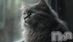 新潟デリヘル人妻不倫処　桃屋　新潟店(ヒトヅマフリンドコロモモヤ) みこと殿方の女神(48)の11月22日写メブログ「すみません」