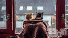 新潟デリヘル人妻不倫処　桃屋　新潟店(ヒトヅマフリンドコロモモヤ) みこと殿方の女神(48)の2月11日写メブログ「お久しぶり」