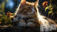 新潟デリヘル人妻不倫処　桃屋　新潟店(ヒトヅマフリンドコロモモヤ) みこと殿方の女神(48)の2月21日写メブログ「寒い」