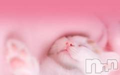 新潟デリヘル人妻不倫処　桃屋　新潟店(ヒトヅマフリンドコロモモヤ) みこと殿方の女神(48)の6月19日写メブログ「ピンクがいいよね」