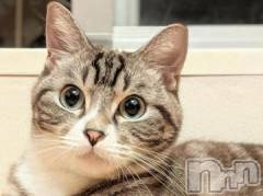 新潟デリヘル人妻不倫処　桃屋　新潟店(ヒトヅマフリンドコロモモヤ) みこと殿方の女神(48)の6月30日写メブログ「雨に」