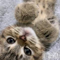 新潟デリヘル人妻不倫処　桃屋　新潟店(ヒトヅマフリンドコロモモヤ) みこと殿方の女神(48)の1月10日写メブログ「今年も」