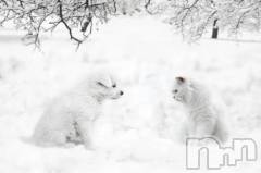 新潟デリヘル人妻不倫処　桃屋　新潟店(ヒトヅマフリンドコロモモヤ) みこと殿方の女神(48)の2月10日写メブログ「雪」