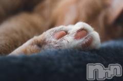 新潟デリヘル人妻不倫処　桃屋　新潟店(ヒトヅマフリンドコロモモヤ) みこと殿方の女神(48)の2月11日写メブログ「右か左か」