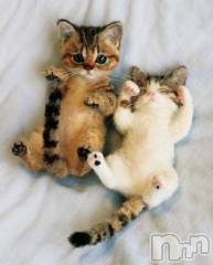 新潟デリヘル人妻不倫処　桃屋　新潟店(ヒトヅマフリンドコロモモヤ) みこと殿方の女神(48)の3月16日写メブログ「凄い」