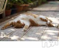 新潟デリヘル人妻不倫処　桃屋　新潟店(ヒトヅマフリンドコロモモヤ) みこと殿方の女神(48)の3月18日写メブログ「出勤予定」