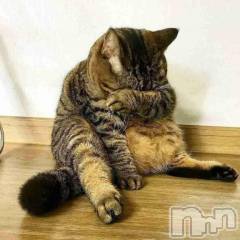 新潟デリヘル人妻不倫処　桃屋　新潟店(ヒトヅマフリンドコロモモヤ) みこと殿方の女神(48)の3月19日写メブログ「まさかの」