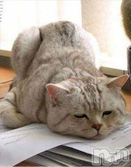 新潟デリヘル人妻不倫処　桃屋　新潟店(ヒトヅマフリンドコロモモヤ) みこと殿方の女神(48)の3月22日写メブログ「風」