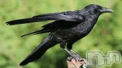 新潟デリヘル人妻不倫処　桃屋　新潟店(ヒトヅマフリンドコロモモヤ) みこと殿方の女神(48)の5月2日写メブログ「GW後半」