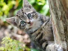 新潟デリヘル人妻不倫処　桃屋　新潟店(ヒトヅマフリンドコロモモヤ) みこと殿方の女神(48)の10月10日写メブログ「日曜日」