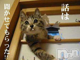 新潟人妻デリヘル 人妻不倫処　桃屋　新潟店(ヒトヅマフリンドコロモモヤ) みこと殿方の女神(48)の4月12日写メブログ「(*￣∇￣)ノ」