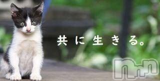 新潟人妻デリヘル 人妻不倫処　桃屋　新潟店(ヒトヅマフリンドコロモモヤ) みこと殿方の女神(48)の6月4日写メブログ「こんにちわ」